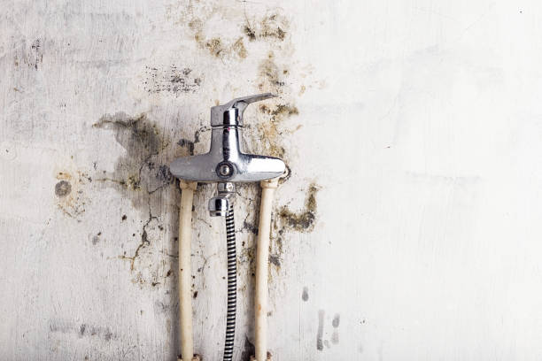 Mold Testing and Removal in Emmetsburg, IA